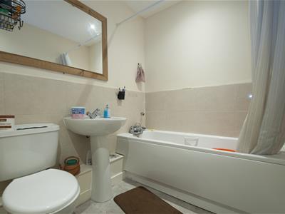 Picture 7